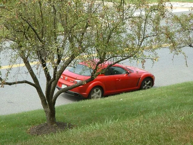 JPG Office RX8 Steps.webp