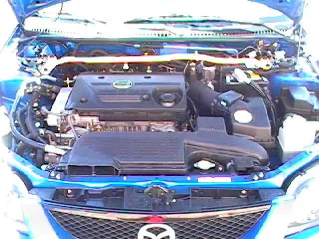 jvn08.jpg