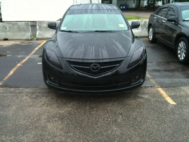 Lamin-X head+fogs.JPG