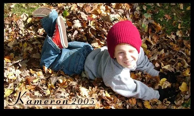 leaves copy (Small).webp