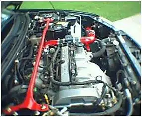 left side view of typhoon.webp