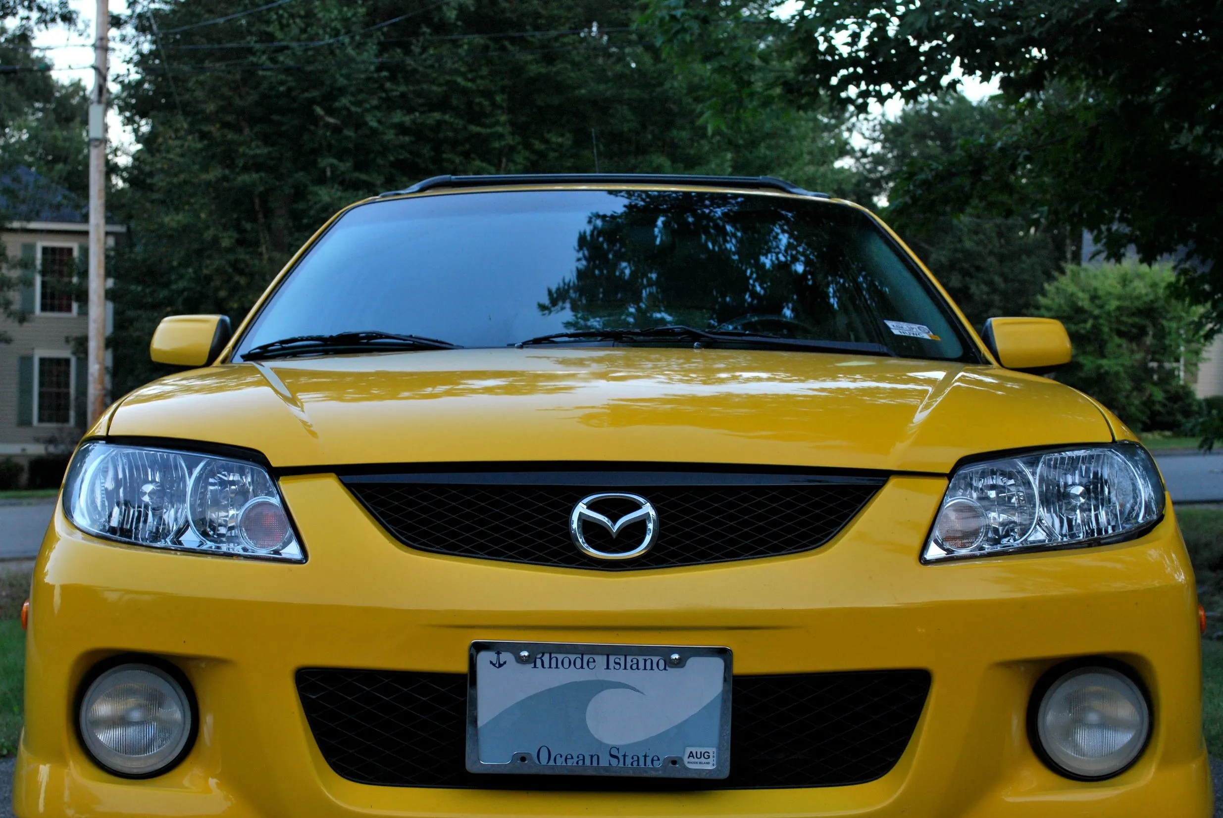 lexi edit front.webp