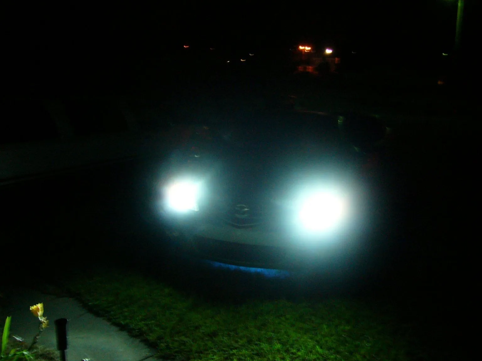 light1.jpg