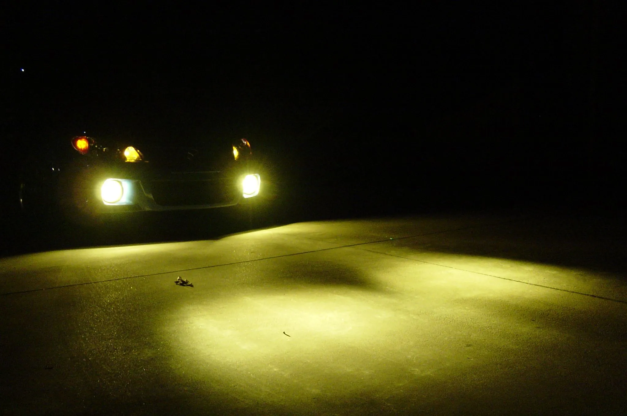 lights 001.jpg