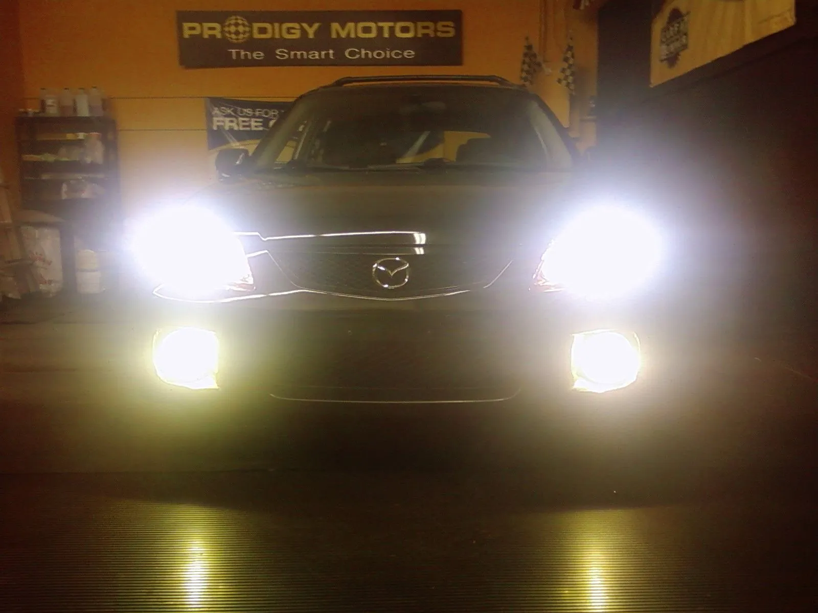 lights.jpg