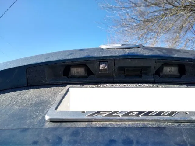 Lights.jpg
