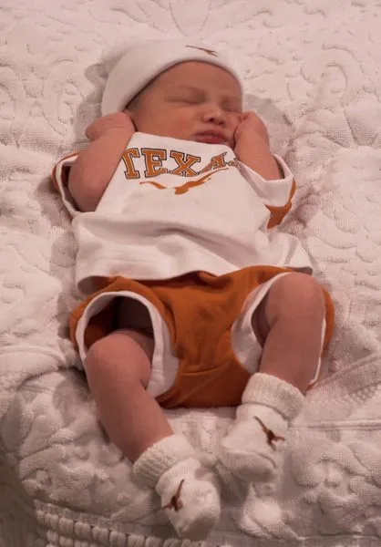 Little Longhorn in the Making.webp