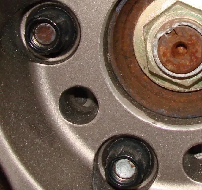 lugs.JPG