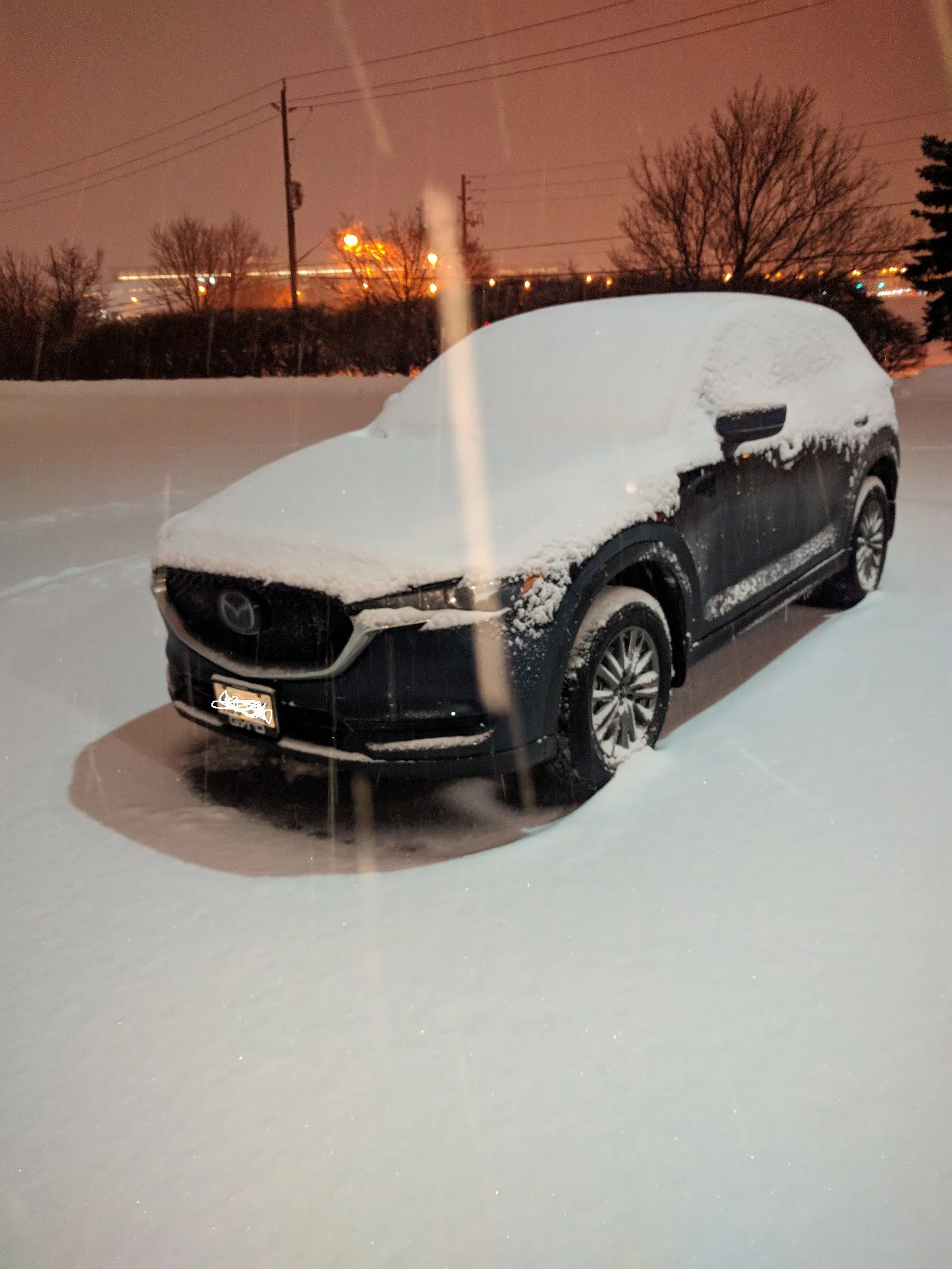 madge in the snow.jpg