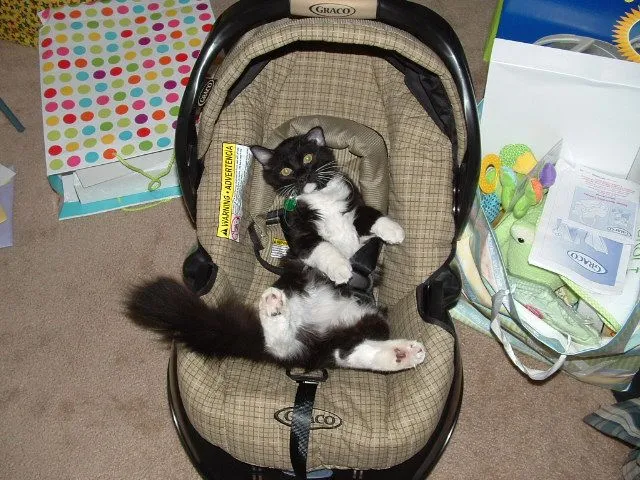 Mary's Bday 002.webp