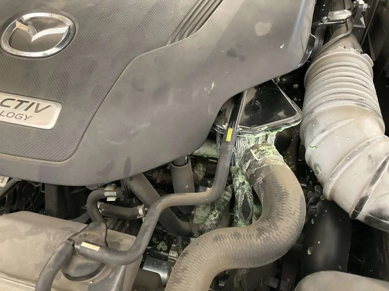 Mazda coolant leak 1.JPG Mazdas247