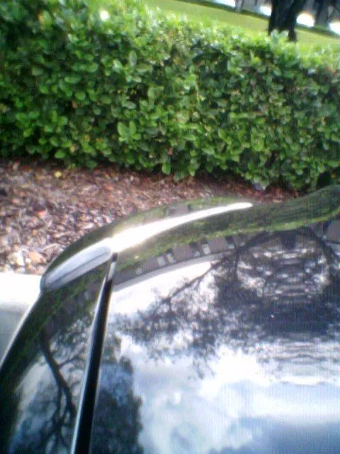 MAZDA-EYELIDS4.jpg