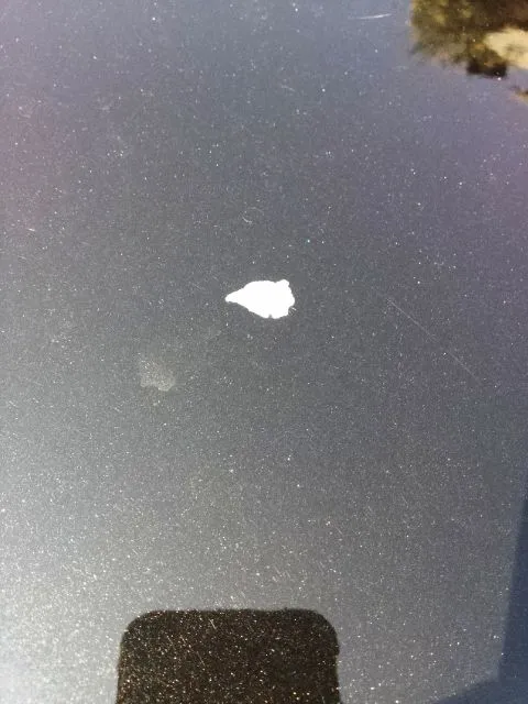 Mazda Hood_2.jpg