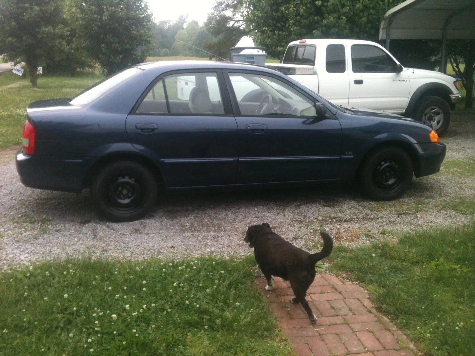 mazda.jpg