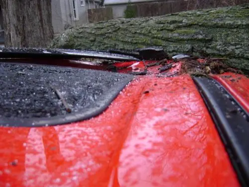 Mazda3TreeDamage3.jpg