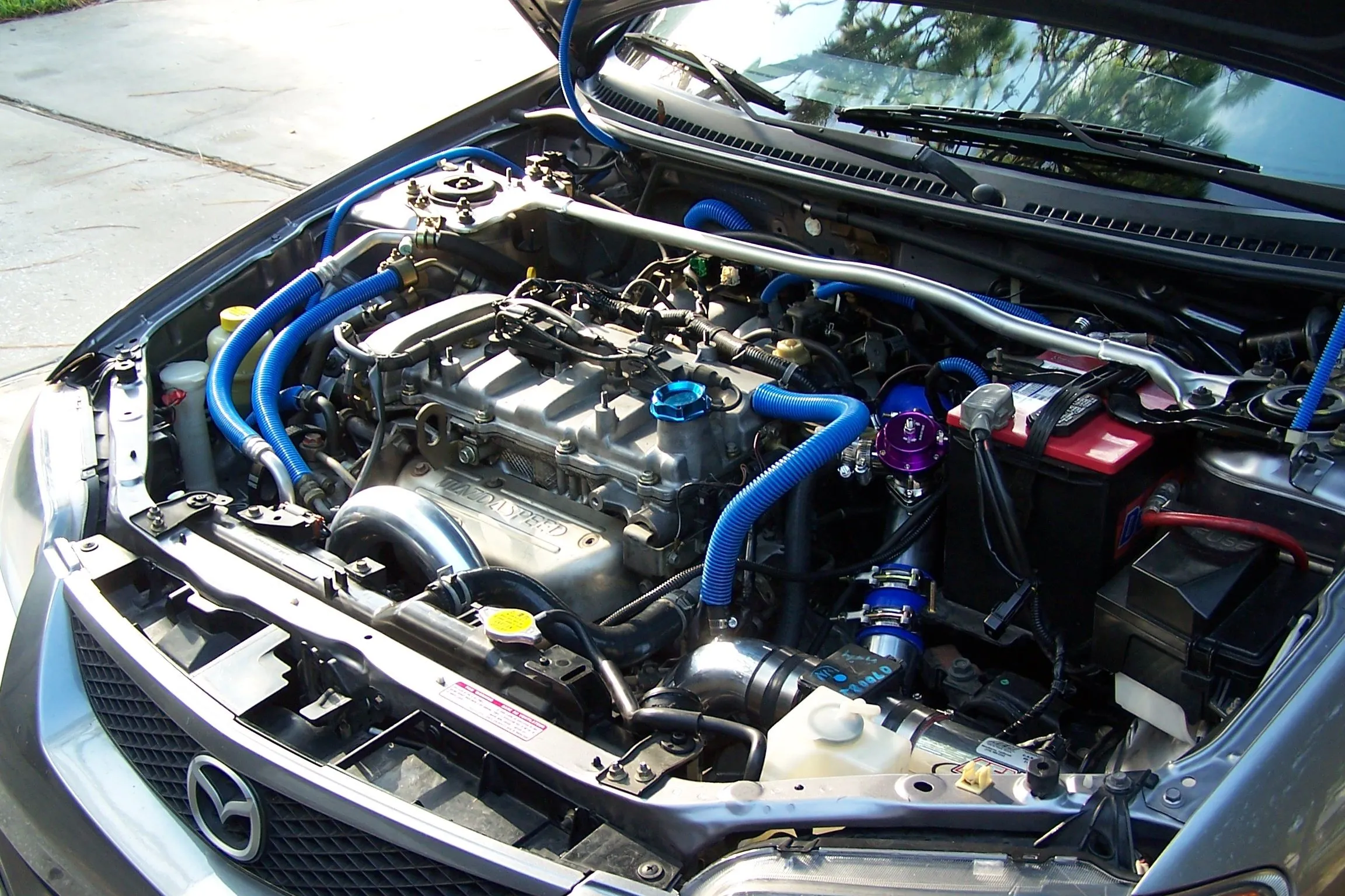Mazdaspeed Protege 034.jpg