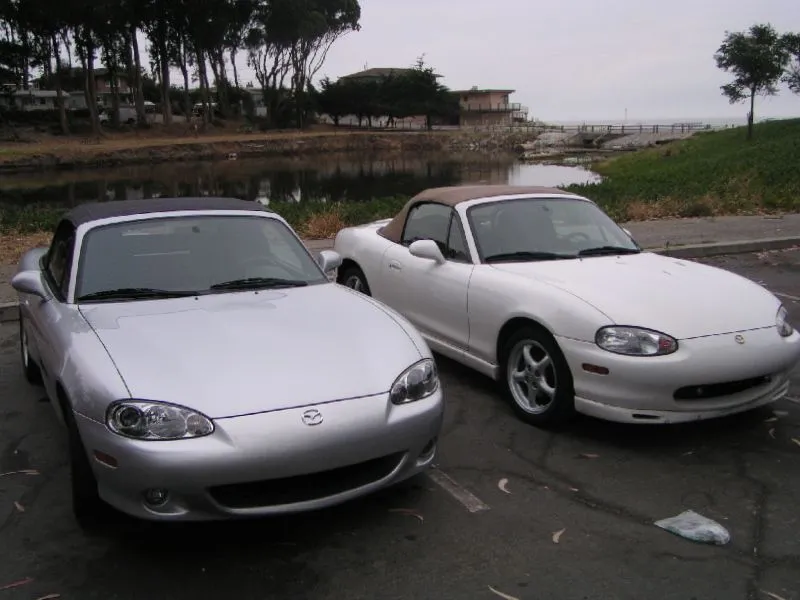 Miatas3.webp