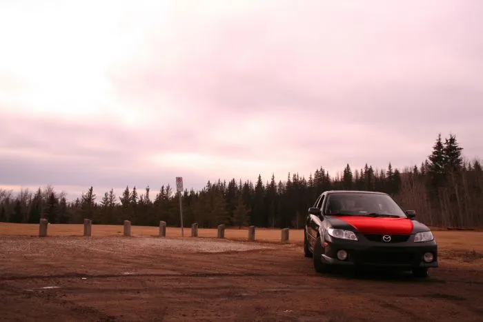 Modified Hood(small)1.JPG