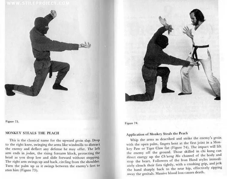 monkey steals the peach.webp