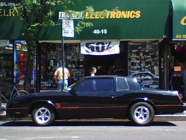 monte carlo pic.webp