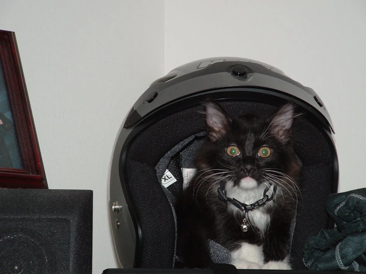 Moo Shu and Mary 043.webp