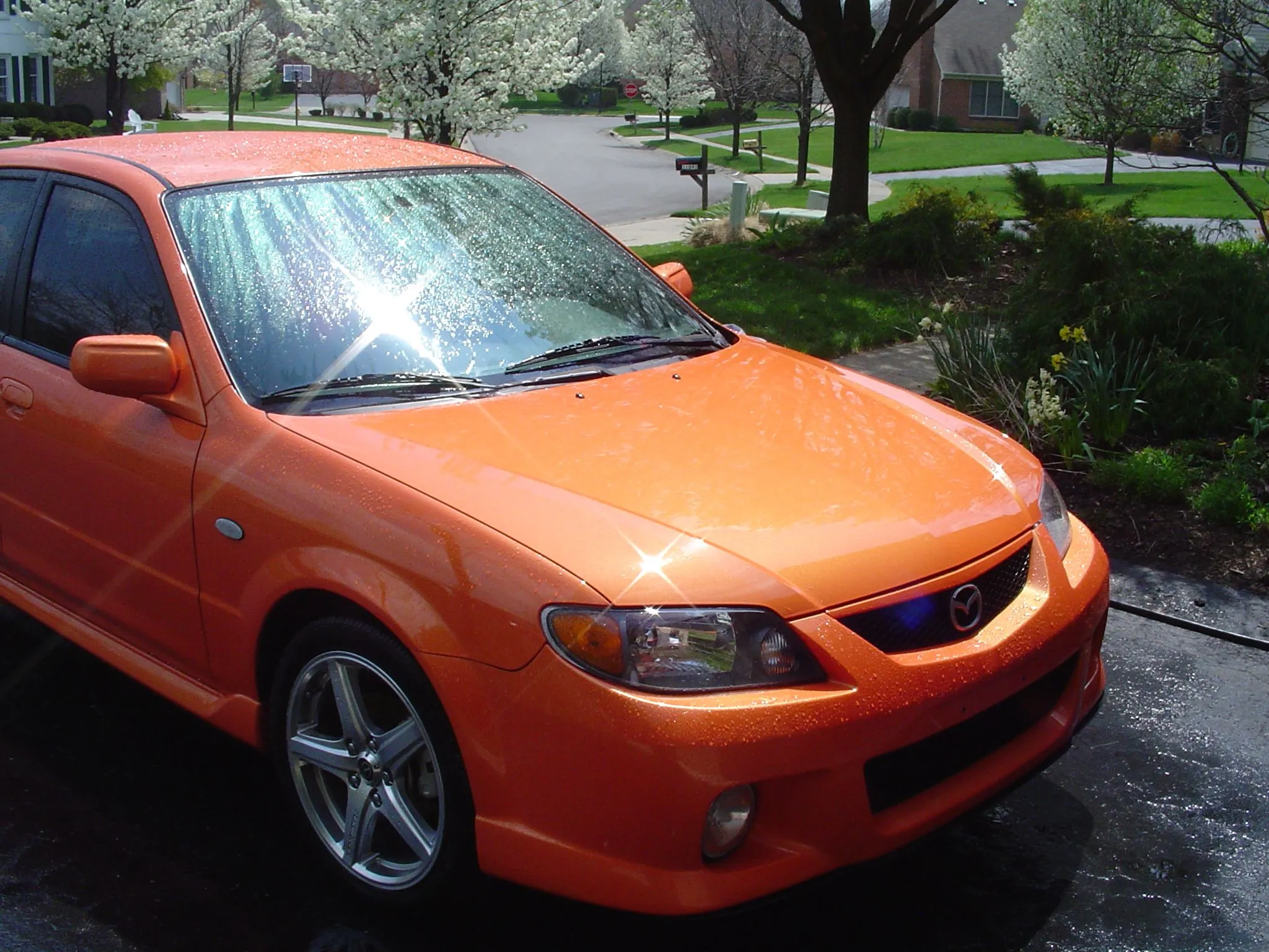 mr clean wash 7.JPG