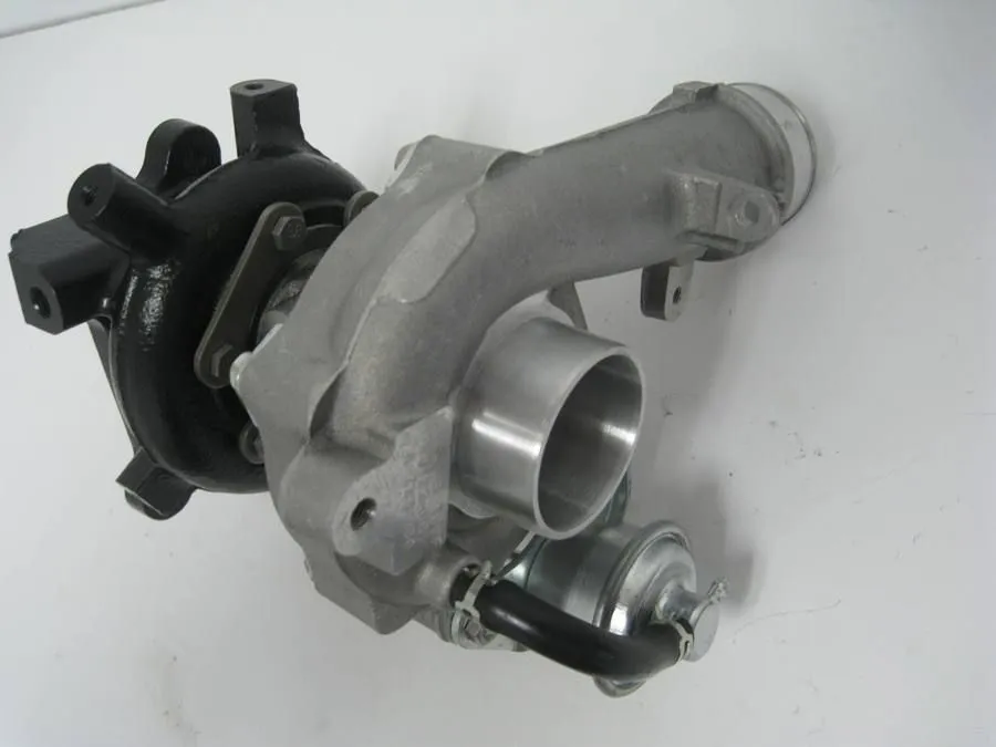 MS367pic3.JPG