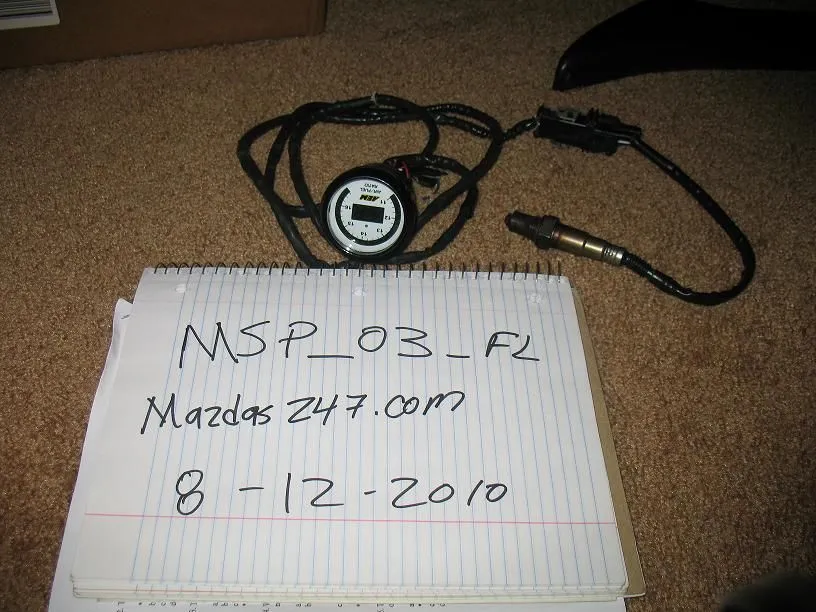 msp 001.webp
