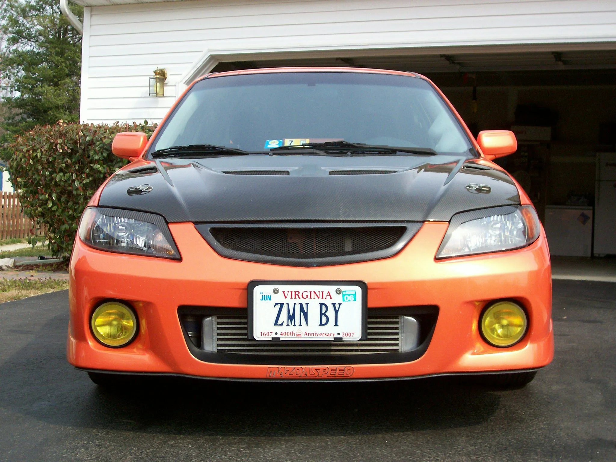 msp 002.jpg