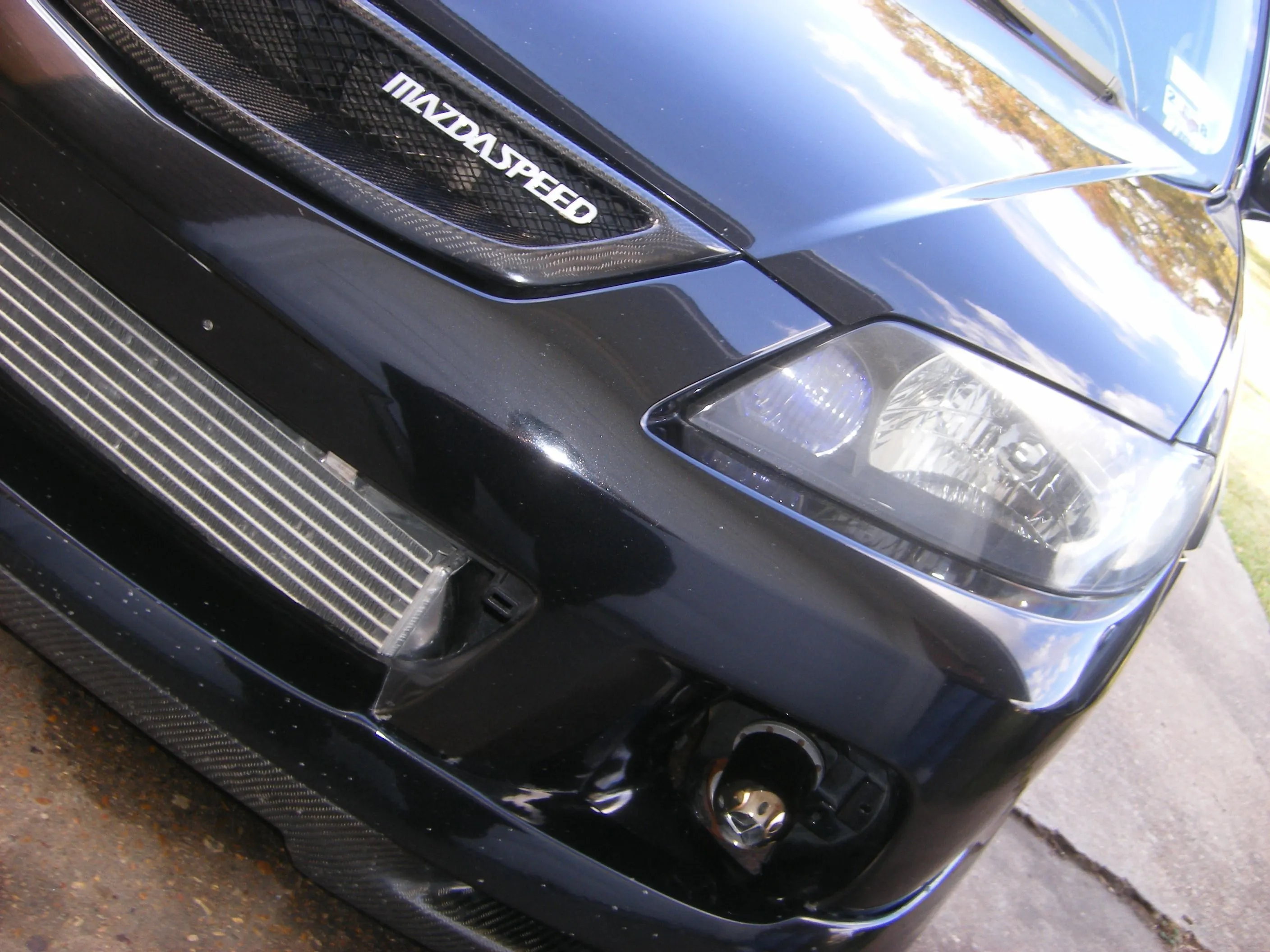 msp and srt-4 [hotoshoot 010.JPG