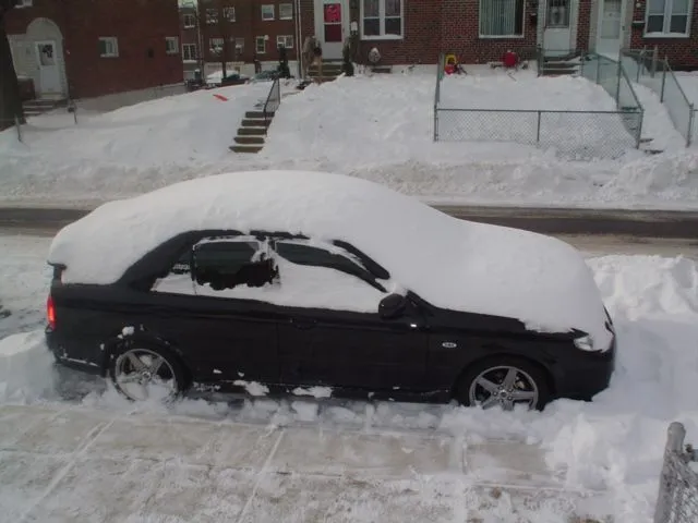 MSP & Outback 002.webp