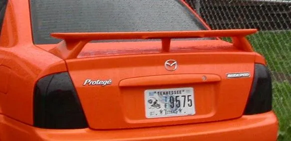 msp-rear-crop.JPG