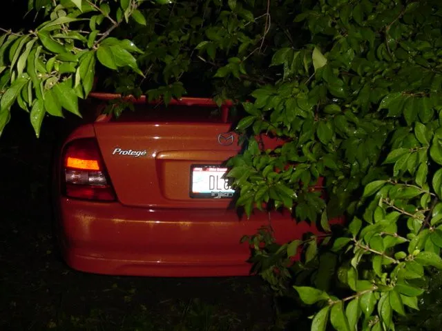 MSP wreck pics 022.webp