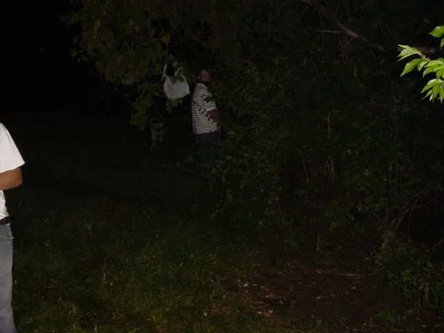 MSP wreck pics 023.webp