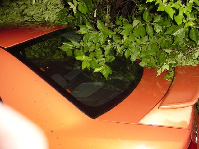 MSP wreck pics 024.webp