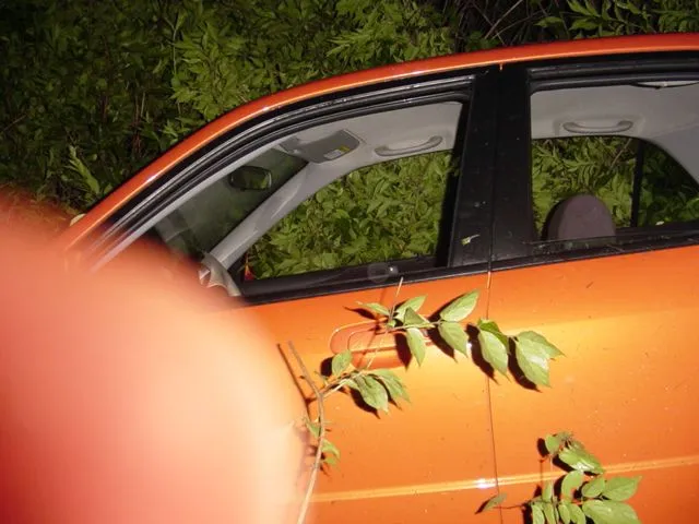 MSP wreck pics 026.webp