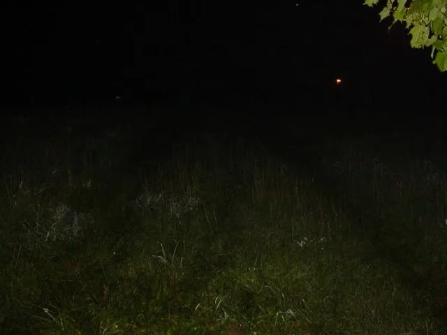 MSP wreck pics 028.webp