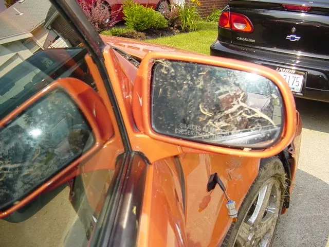 MSP wreck pics 050.webp