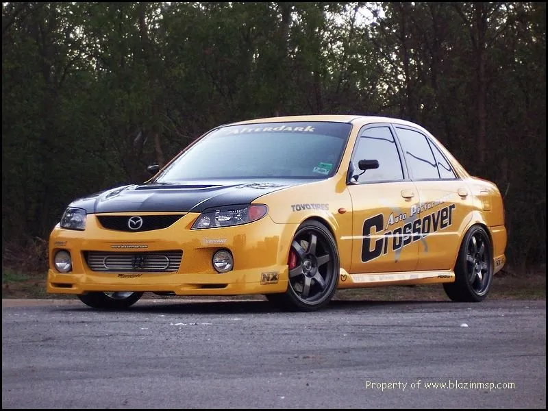 msp_4604_wingless.jpg