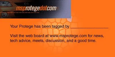 msprotegedotcom.jpg