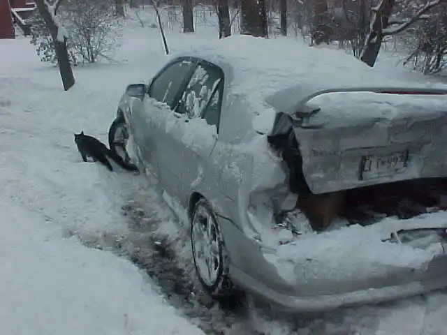 Mvc-005s.jpg