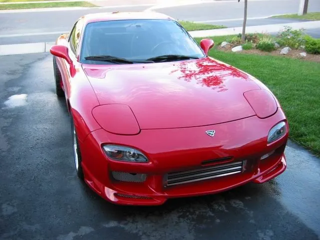 my baby ^_^.jpg