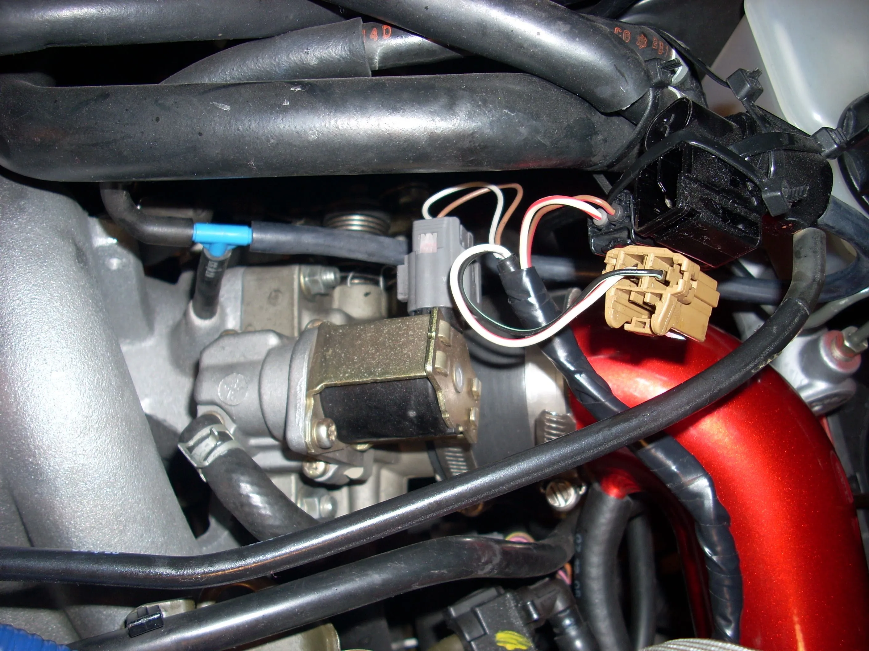 My P&P head047.jpg