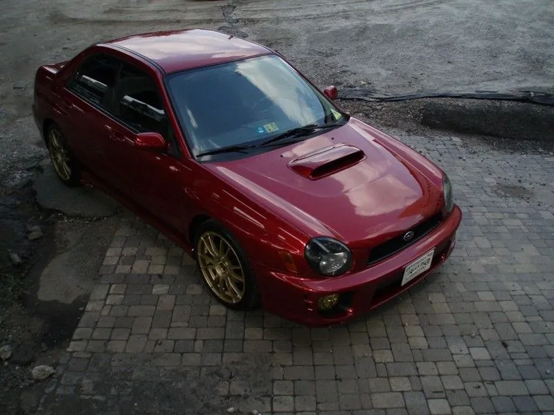 mysubie1.webp