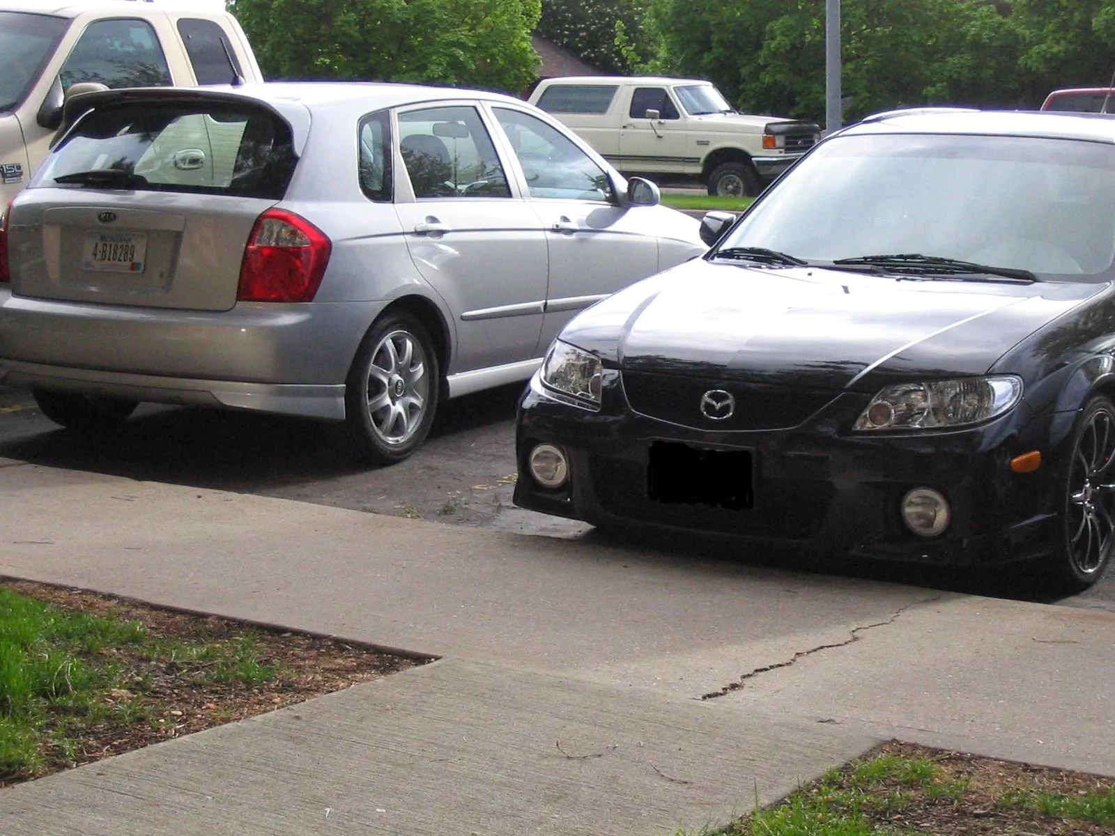 neighbor.JPG