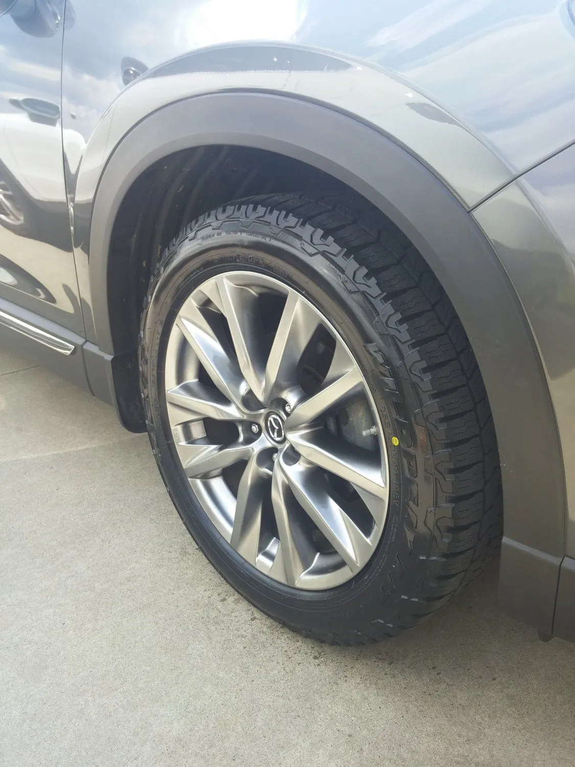 New Falkens.jpg