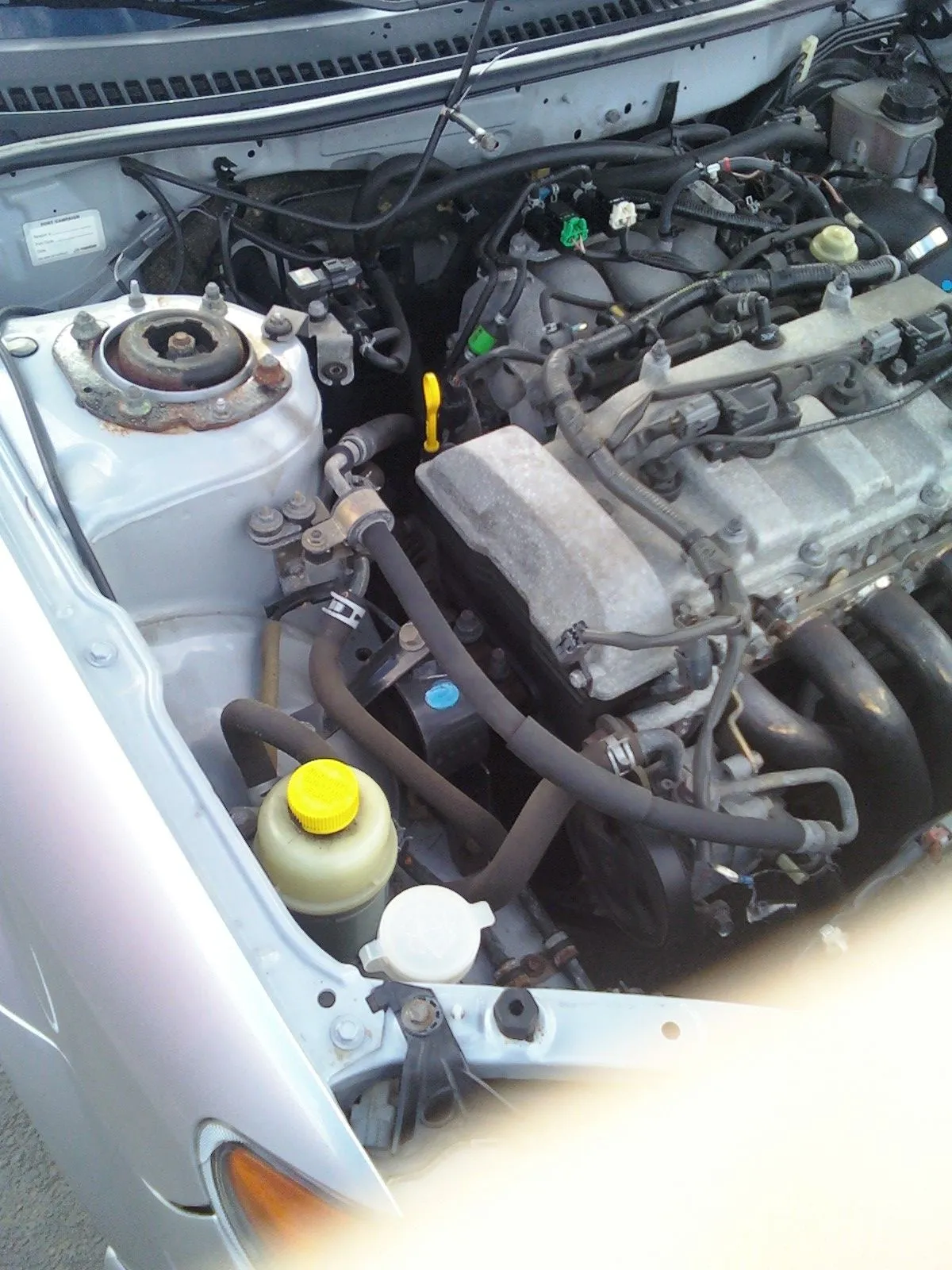 New Image1.JPG