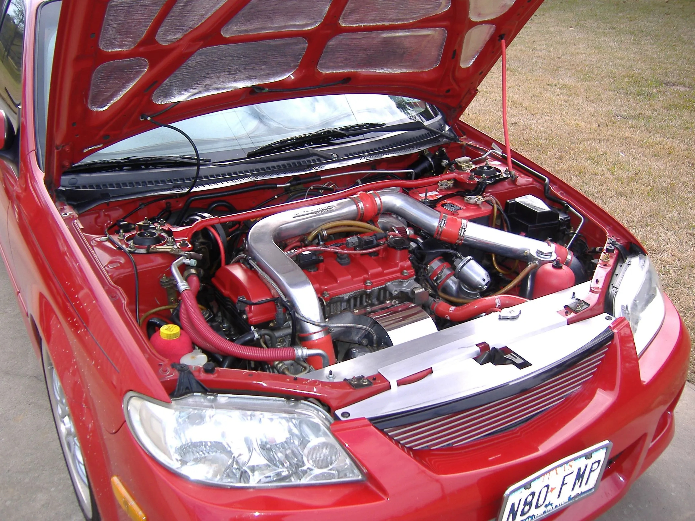 newer 017.jpg
