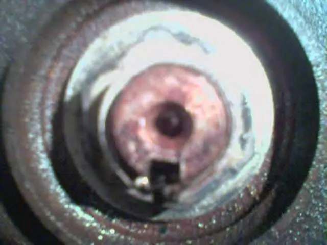 ****** nut1.jpg