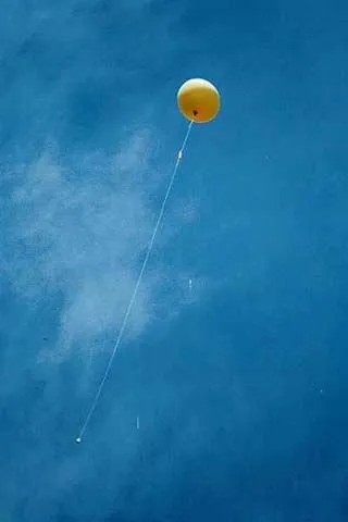 nws16.jpg